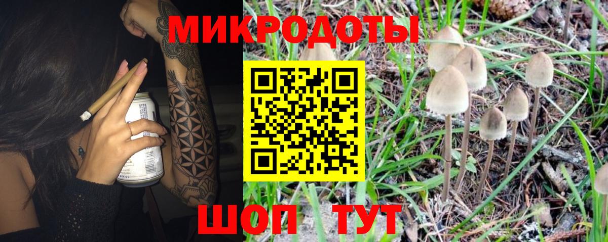 Галлюциногенные грибы Psilocybe Кимовск