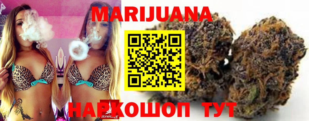 Канабис сатива Кимовск